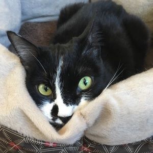 Meet your Posher, Amy